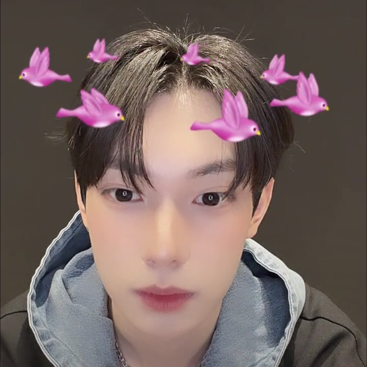 Nullfault's tweet image. ㅈㅅ 보고 웃었음