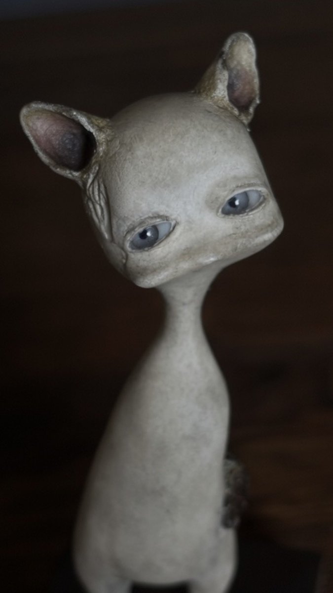 🐱 #wip
