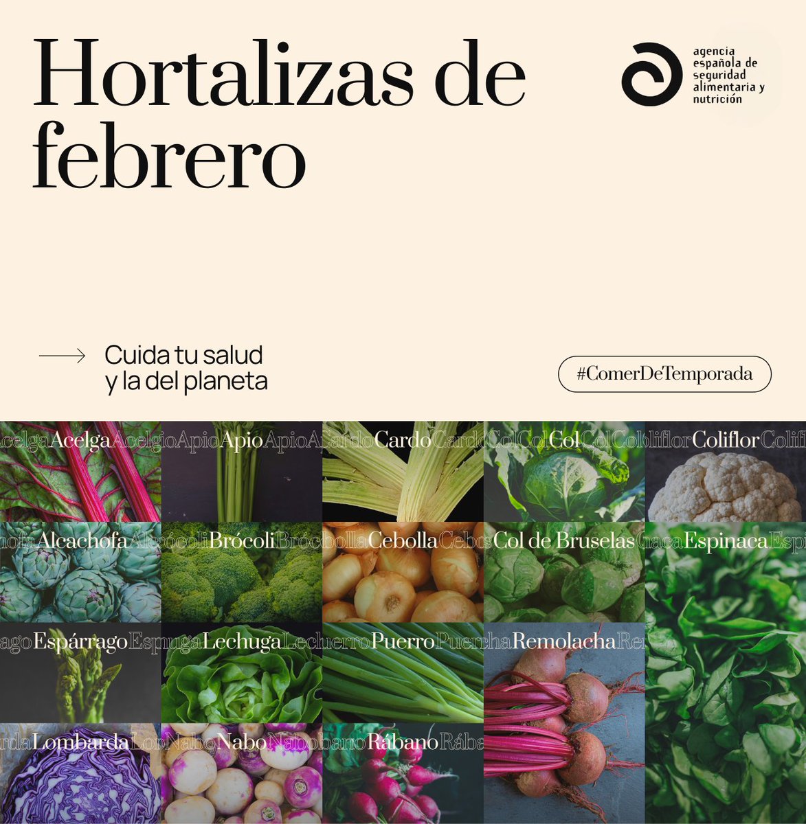 🥬🥕 Febrero es temporada de hortalizas llenas de sabor 🌱

Elegir productos de temporada significa más calidad, mejor valor nutricional y una alimentación más equilibrada. Además, apoyas el consumo local y una compra más sostenible 🌍

Dale color a tus platos de invierno con