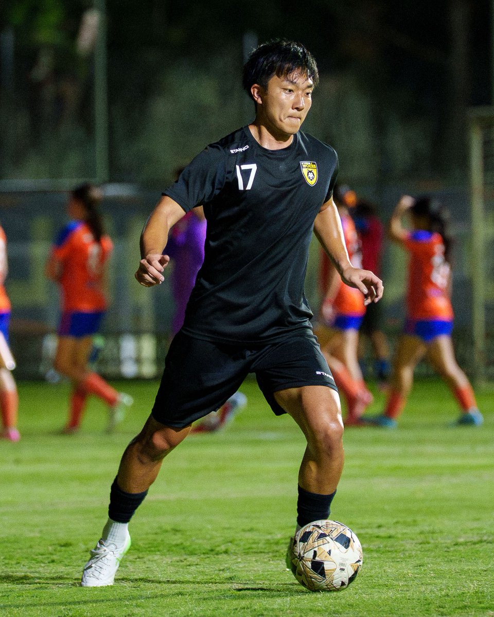 Wynnum Wolves FC tweet media