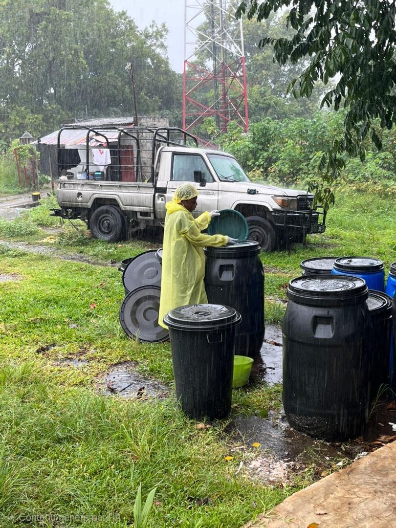 Farms for Orphans (Mpose ya Congo) tweet media