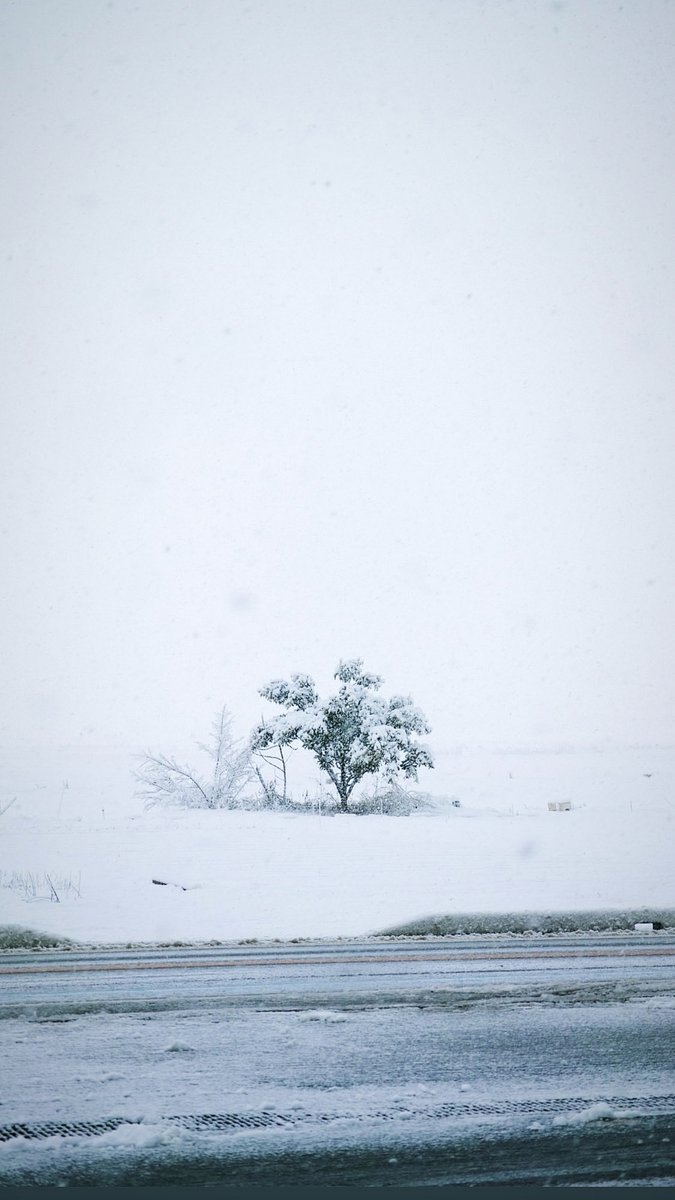 suosono's tweet photo. 雪もうええて〜〜 https://t.co/L9Hbpagbg5