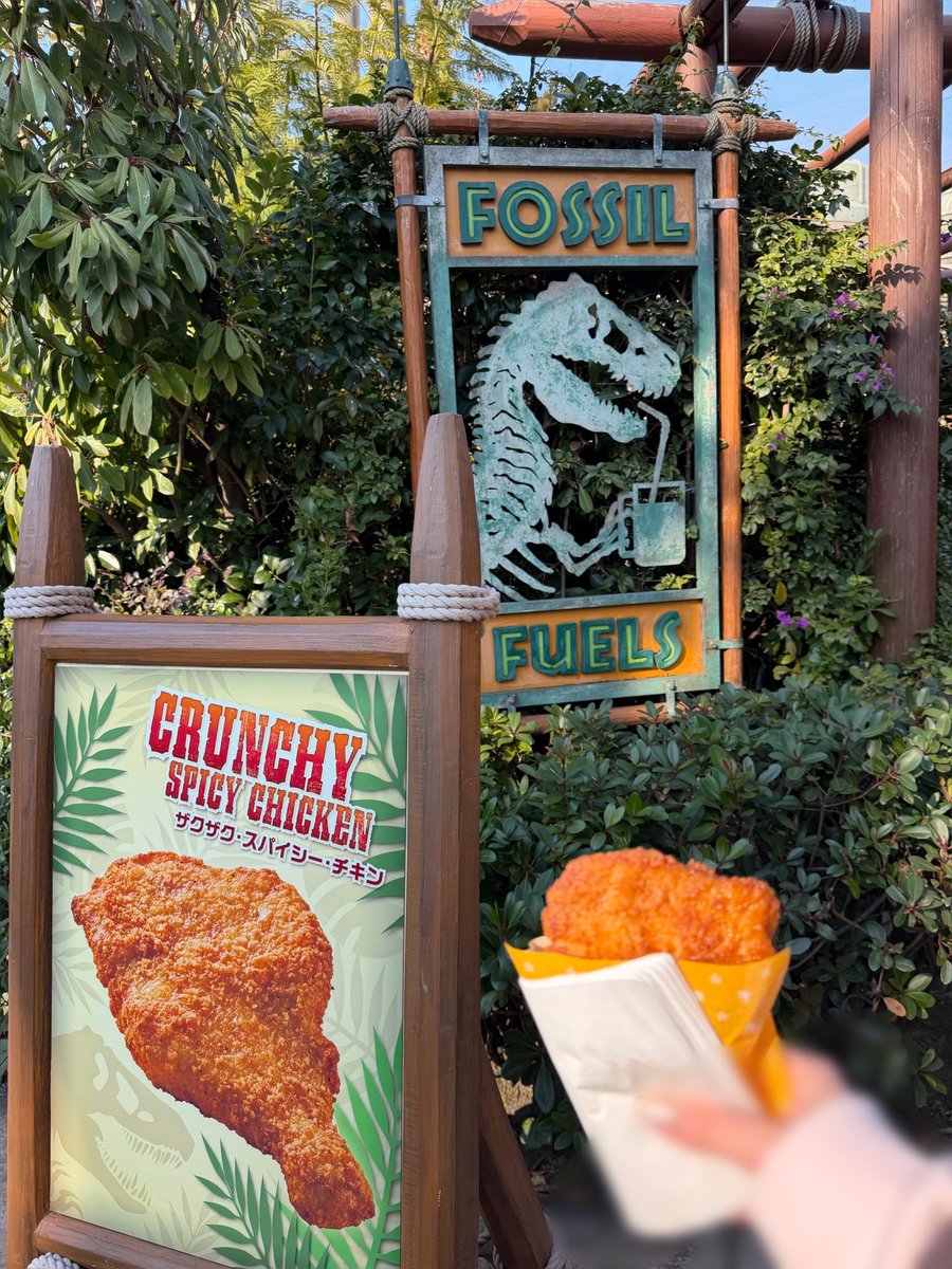 ザクザク・スパイシー・チキン🍗

食べた感想は、某コンビニFチキ系の油たっぷりチキン！
みなさん結構アッサリだというので期待しましたが…
Fチキでワンパン胸焼けする私は結構キツかったです(｡´_｀｡)
モチベ高い時に食べたら胸焼けしないかなあ💭

#USJファン