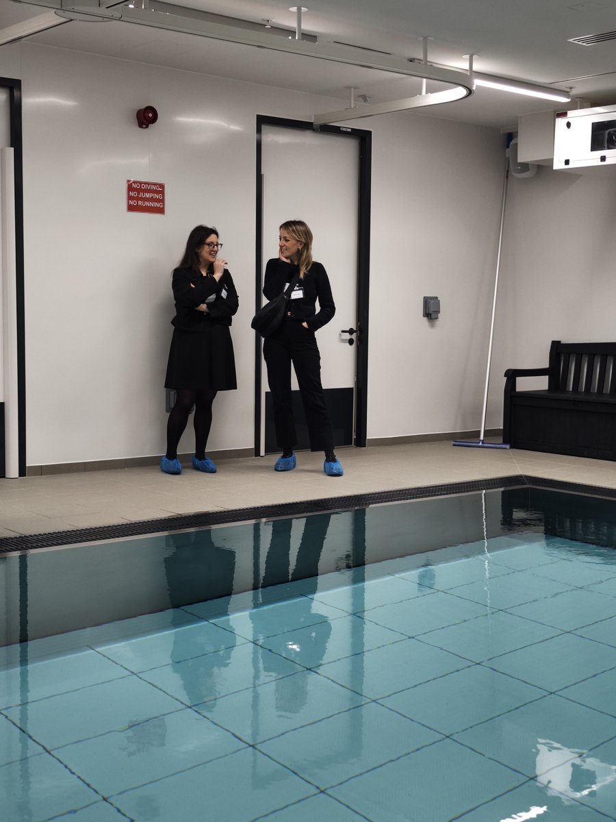 Innova Care Concepts tweet media