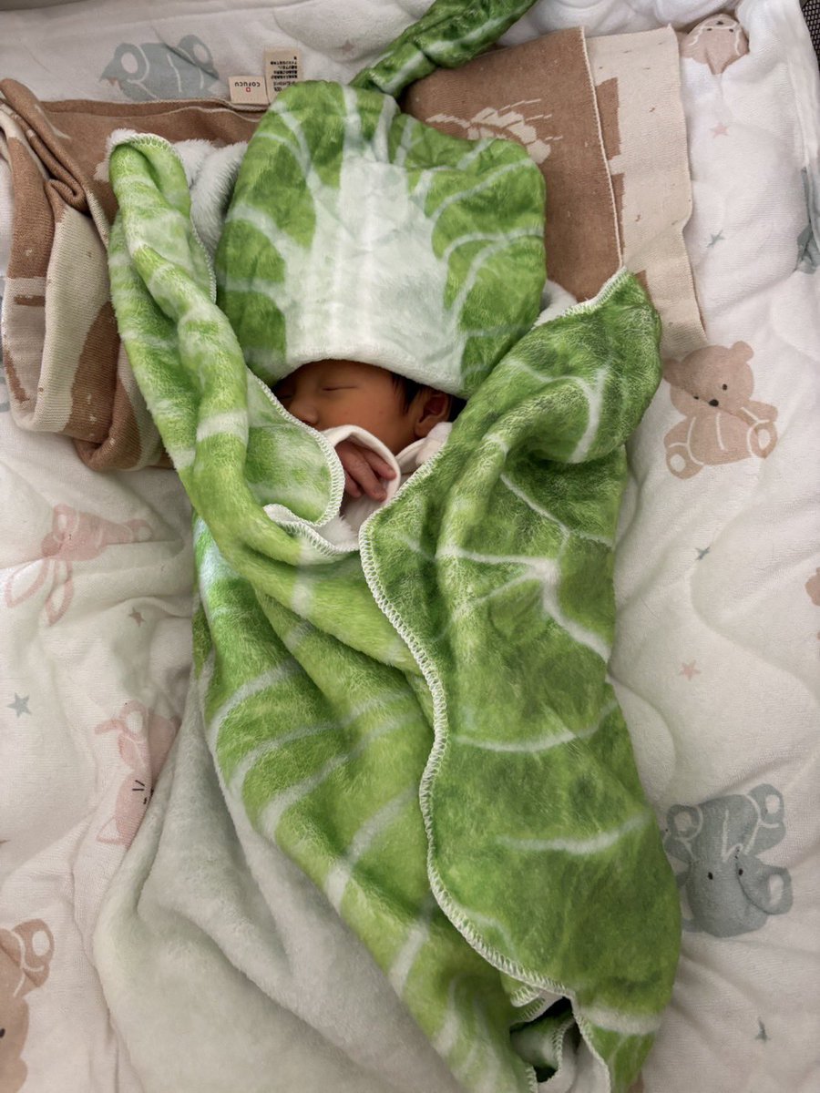 とくゆか🥬｜群馬のWebデザイナー tweet media