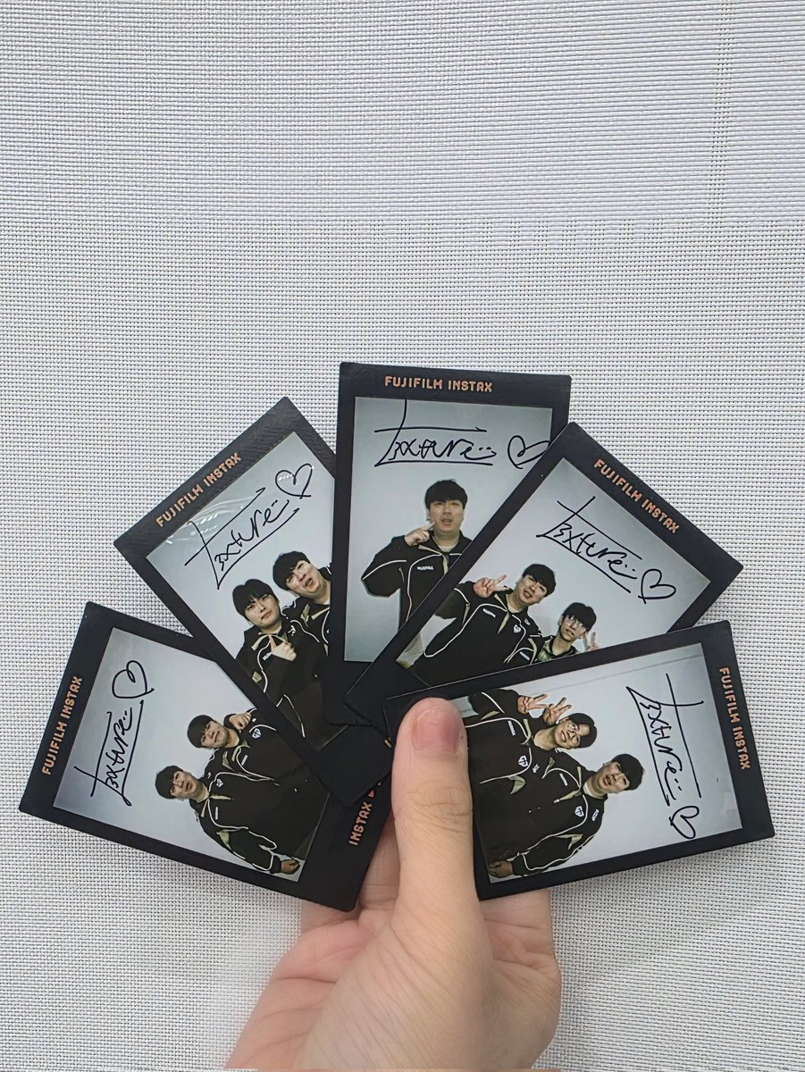 김젤피 tweet media