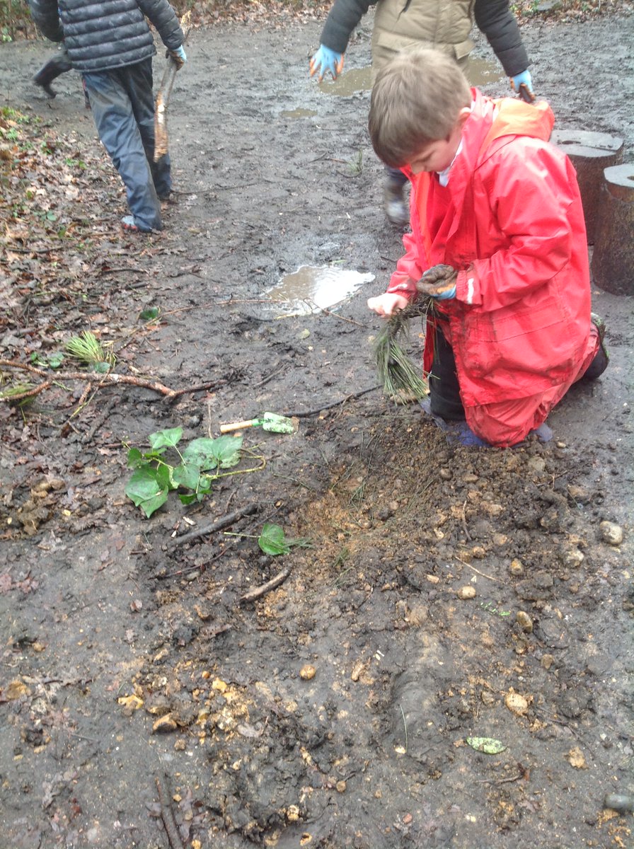 Roehampton Church Forest School tweet media