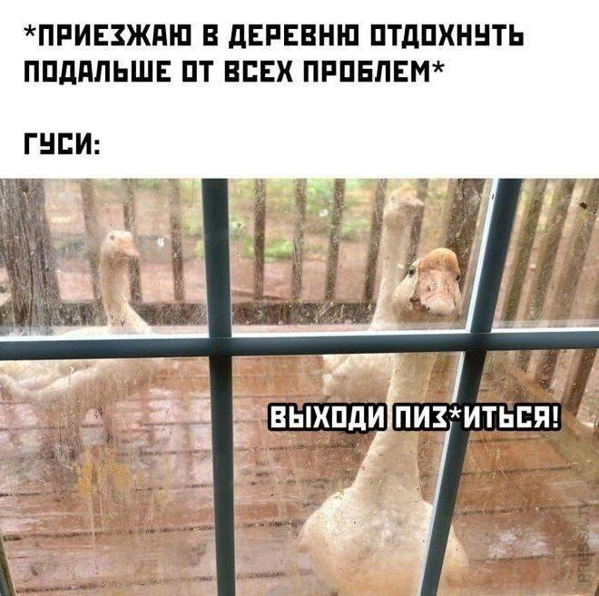 kubanouid's tweet image. 