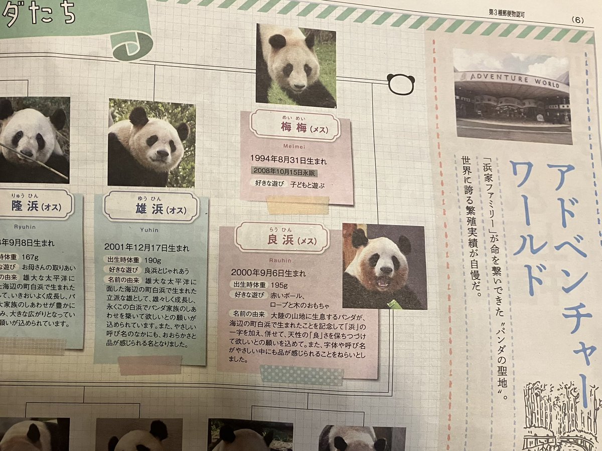 日刊パンダイ (@nikkan_pandai) / Posts / X