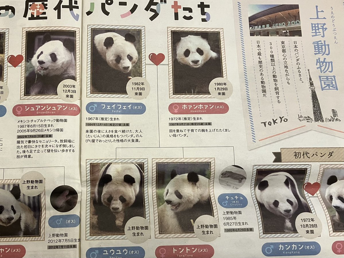日刊パンダイ (@nikkan_pandai) / Posts / X