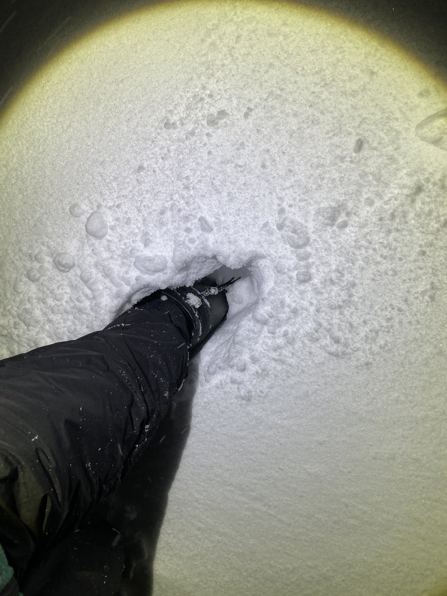 オレヲ🦂 tweet media