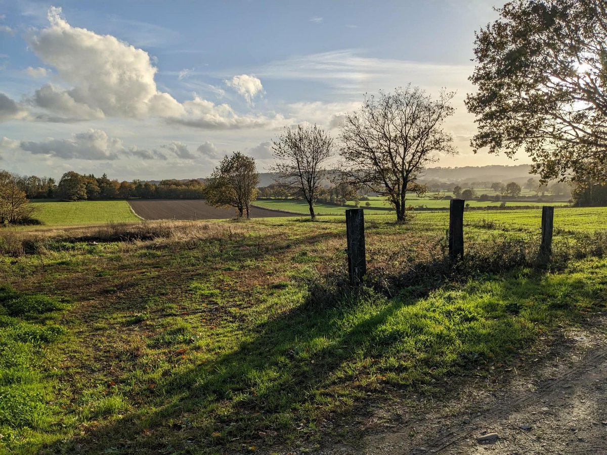 Ankhge's tweet image. Petite balade en campagne bretonne.