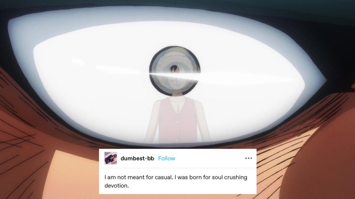 literally zoro with luffy