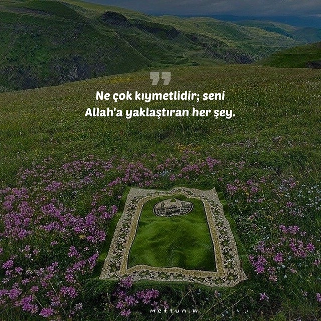 Mavera (@acz_mavera) on Twitter photo 