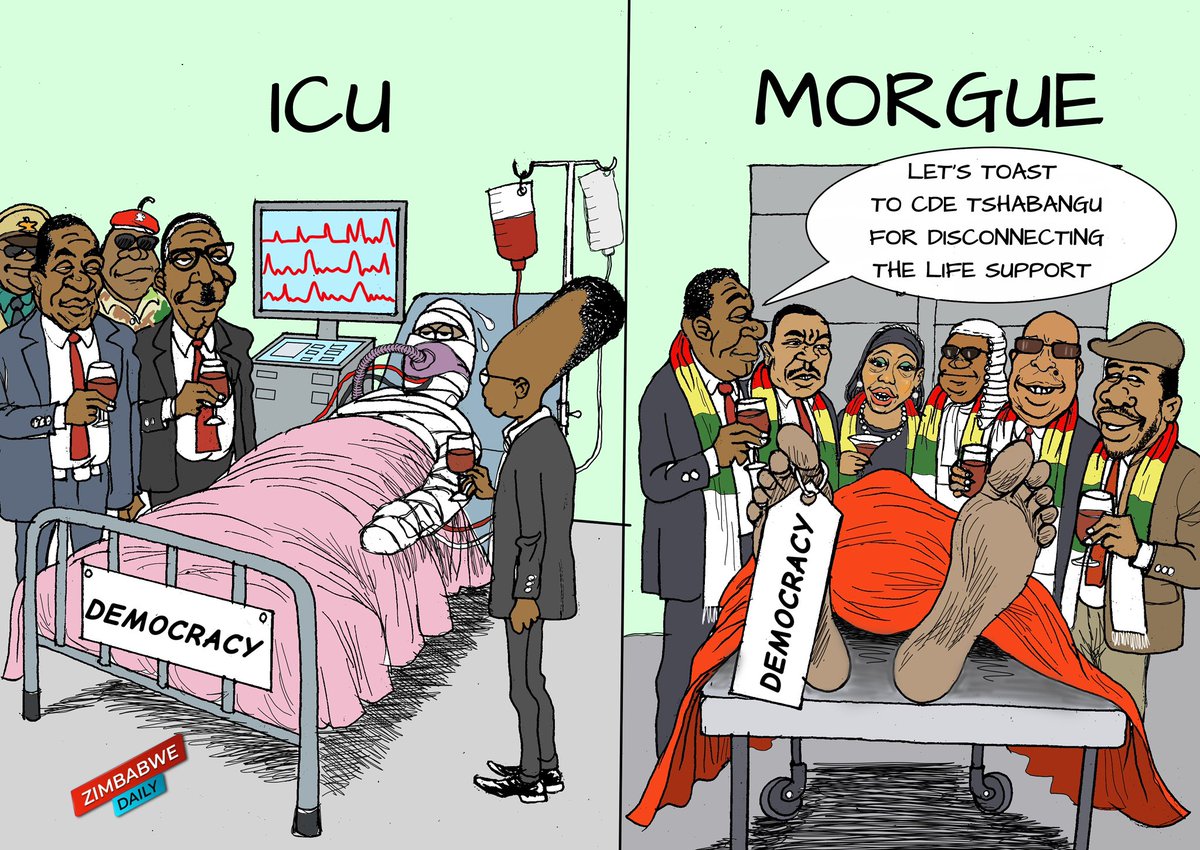 zimDaily tweet media