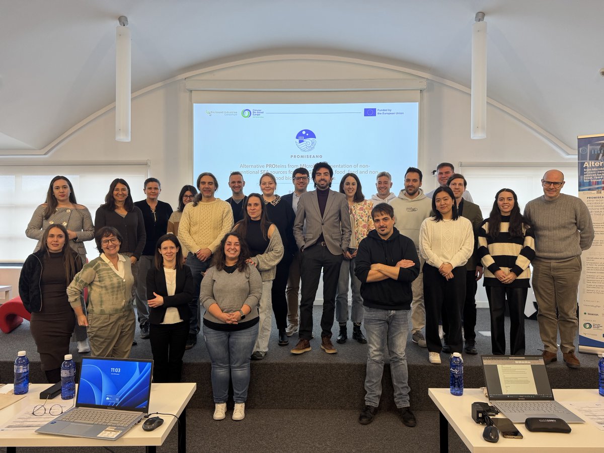 Promiseang Project tweet media