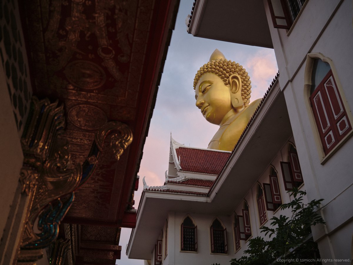 tomicchi1293's tweet photo. Bangkok,Thailand
FUJIFILM GFX100SII GF45-100m F4
#WatPaknam https://t.co/ZaRqlK0mTL
