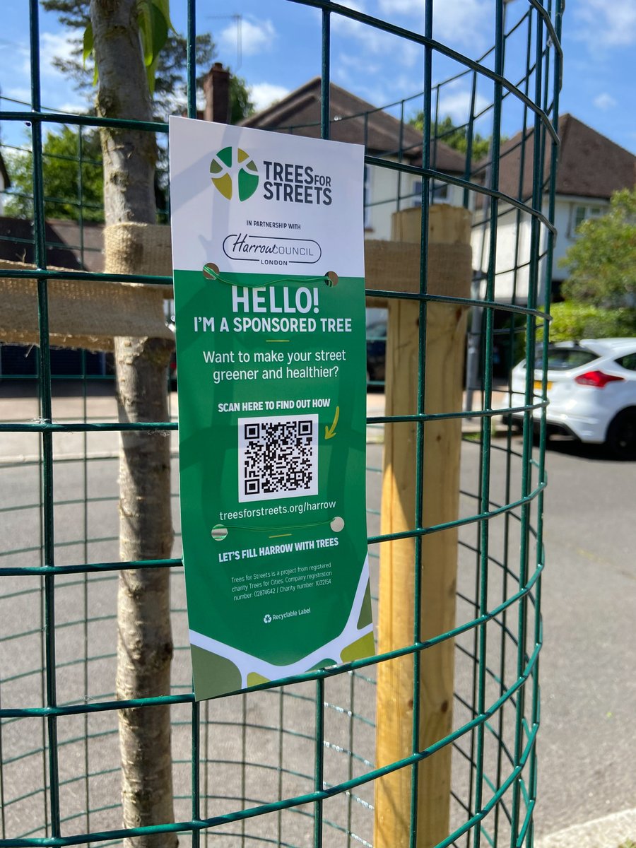 Trees for Streets tweet media