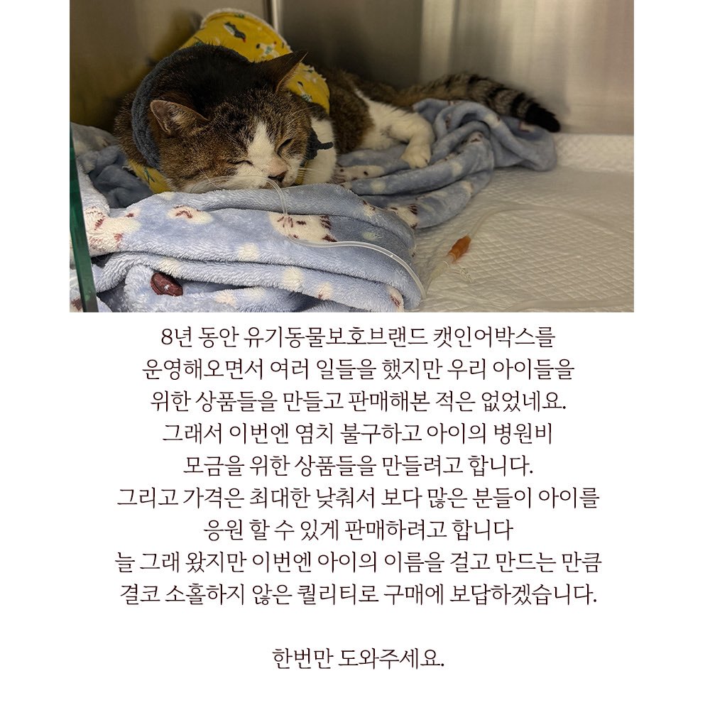 CallitunaNrutas's tweet photo. 아이가 버텨주고 있으니
집사는 당장 할 수 있는 일을 하겠습니다.

살리고 싶어요.

한번만 도와주세요.

https://t.co/kEv06QPq7H https://t.co/PF3LX0AdaI