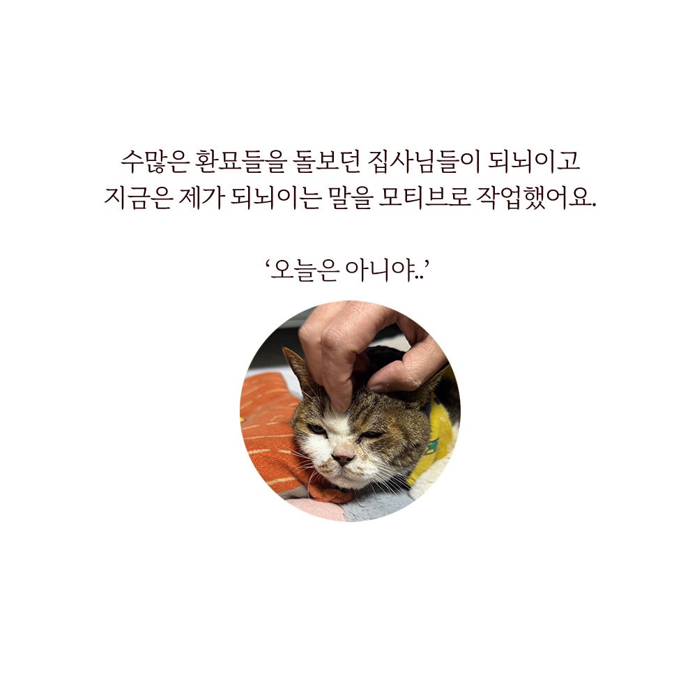 아이가 버텨주고 있으니
집사는 당장 할 수 있는 일을 하겠습니다.

살리고 싶어요.

한번만 도와주세요.

catinabox.co.kr/product/list.h…