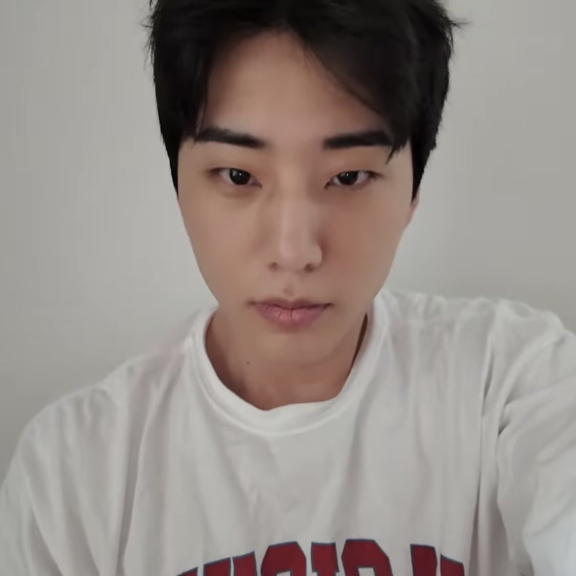 어딘가 따끈말랑하고 꼬순내나는 babo ..