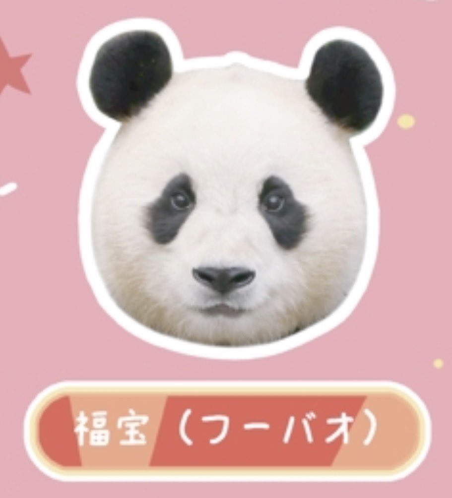 압도적인 왕대구리