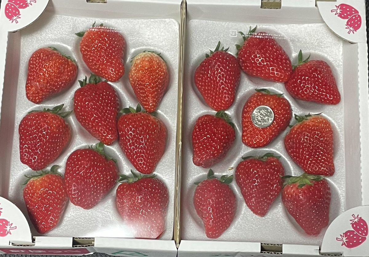 レイズネクストの優待です。 巨大ないちごが届きました🍓 ビニールの上