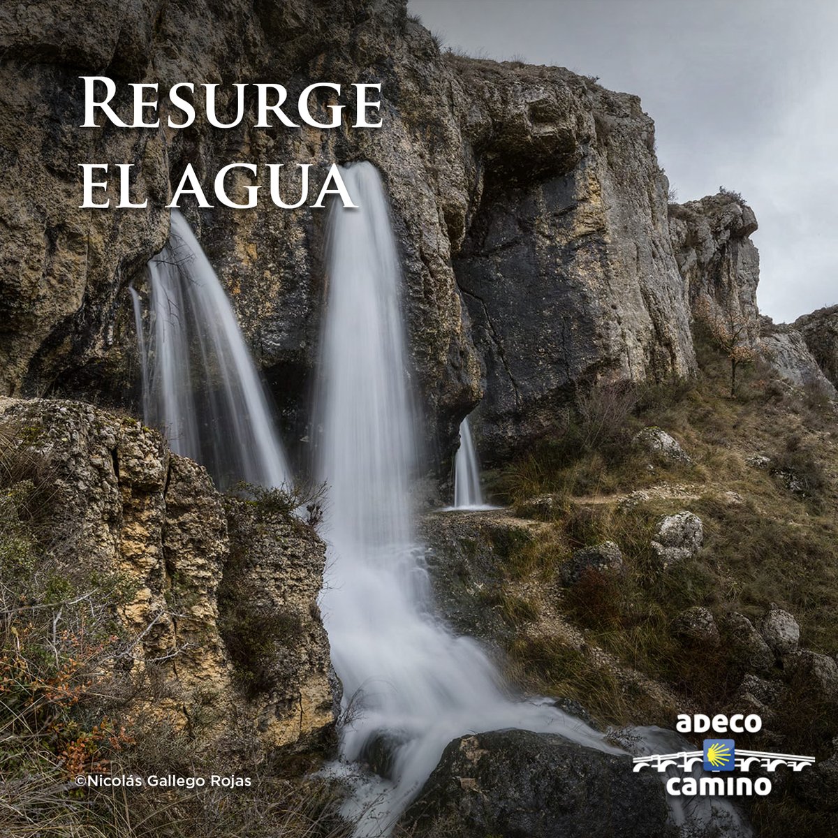 🌊💚 Estos días siguen las aguas del río Odra bajabando con una fuerza y una belleza impresionantes 
Sus resurgencias no paran de manar líquido elemento, tras pasar por todo el sistema kárstico de las Loras de nuestro geoparque de Las Loras <a href="/geoloras/">geoparquelasloras</a> 
Lugares de gran belleza.