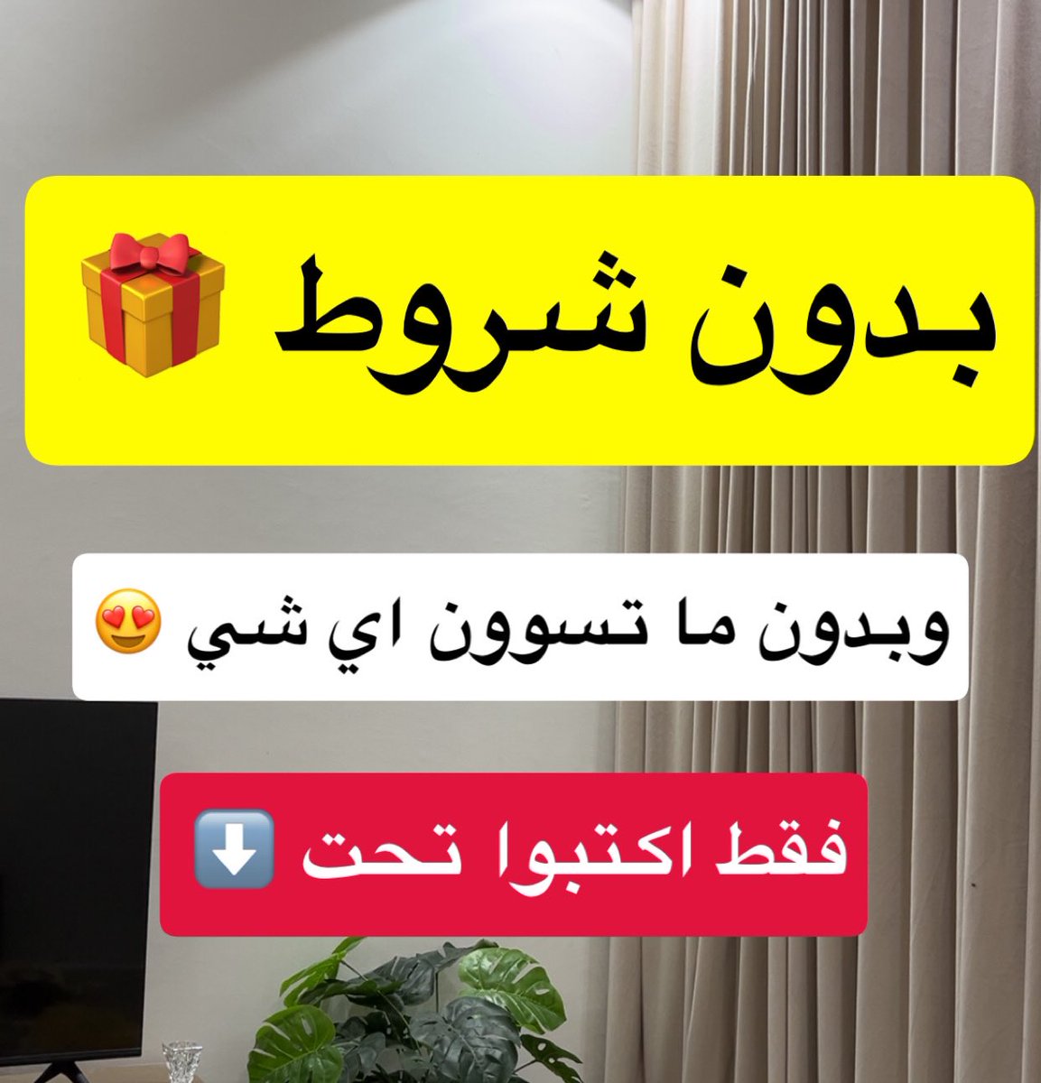 وش افضل من مبلغ يتحول لحسابك بدون اي شرط ؟

الله يجعله من نصيب شخص يستحقه 🎁 🎁 🎁 

snapchat.com/t/XH3jAC3G