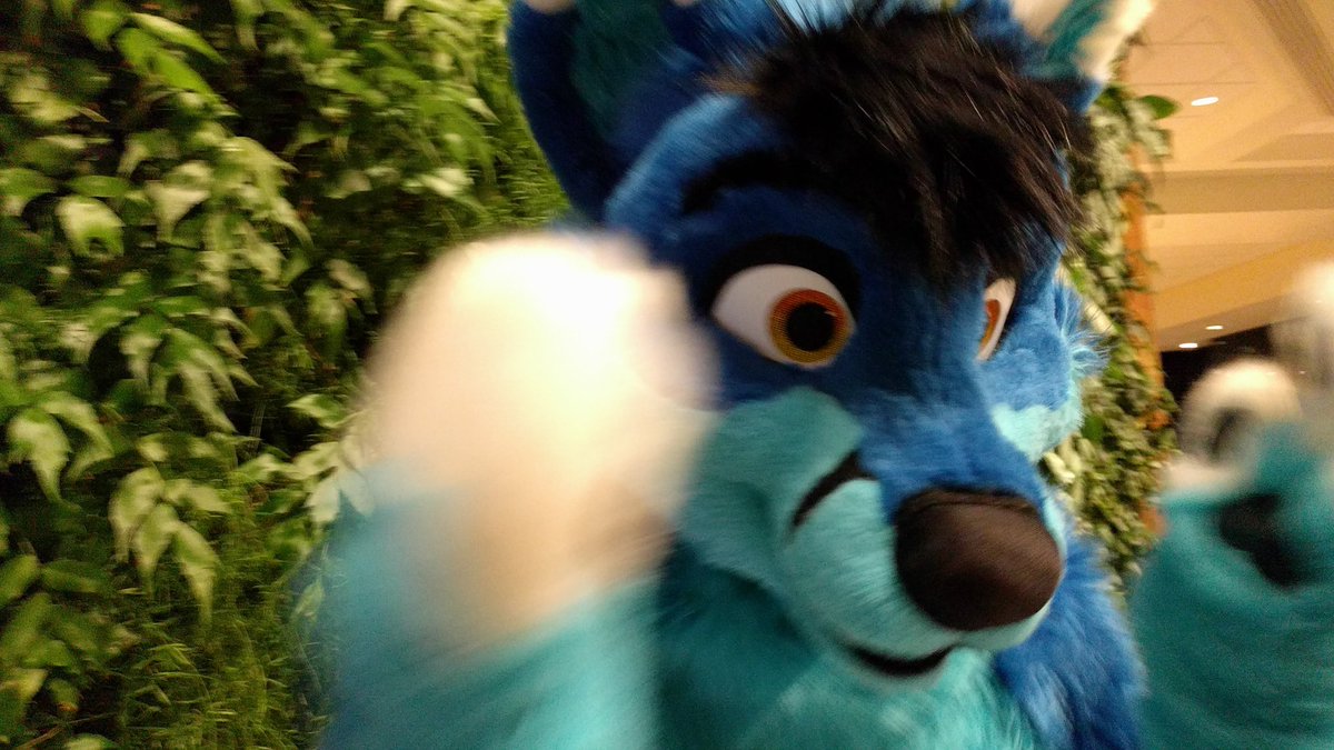 Blue Fluffaholic / Yenko Doggo tweet media