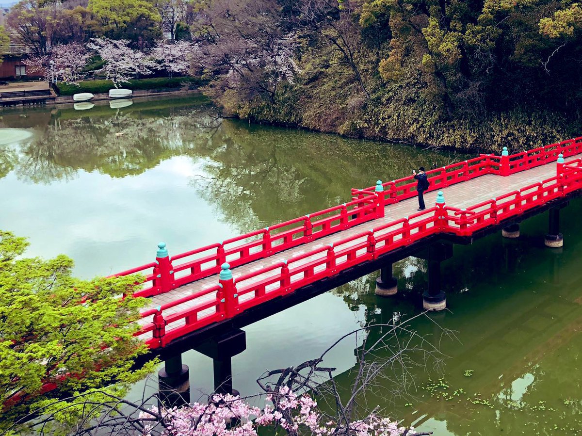 costen_JSE's tweet photo. 【大拡散希望！】
春コステン3/29(日)キャンペーン！🥰
今年も開催が決定しました！🌸
今回は統国寺も入れます！

RTだけでもクーポンDM届きます！
●第①弾「2月末まで」
→固定ポストを引用RTで¥1000引き

●第②弾「3/23まで」
→固定ポストをRTで¥500引き
https://t.co/cummrdRWJy https://t.co/WLHJAZTVru