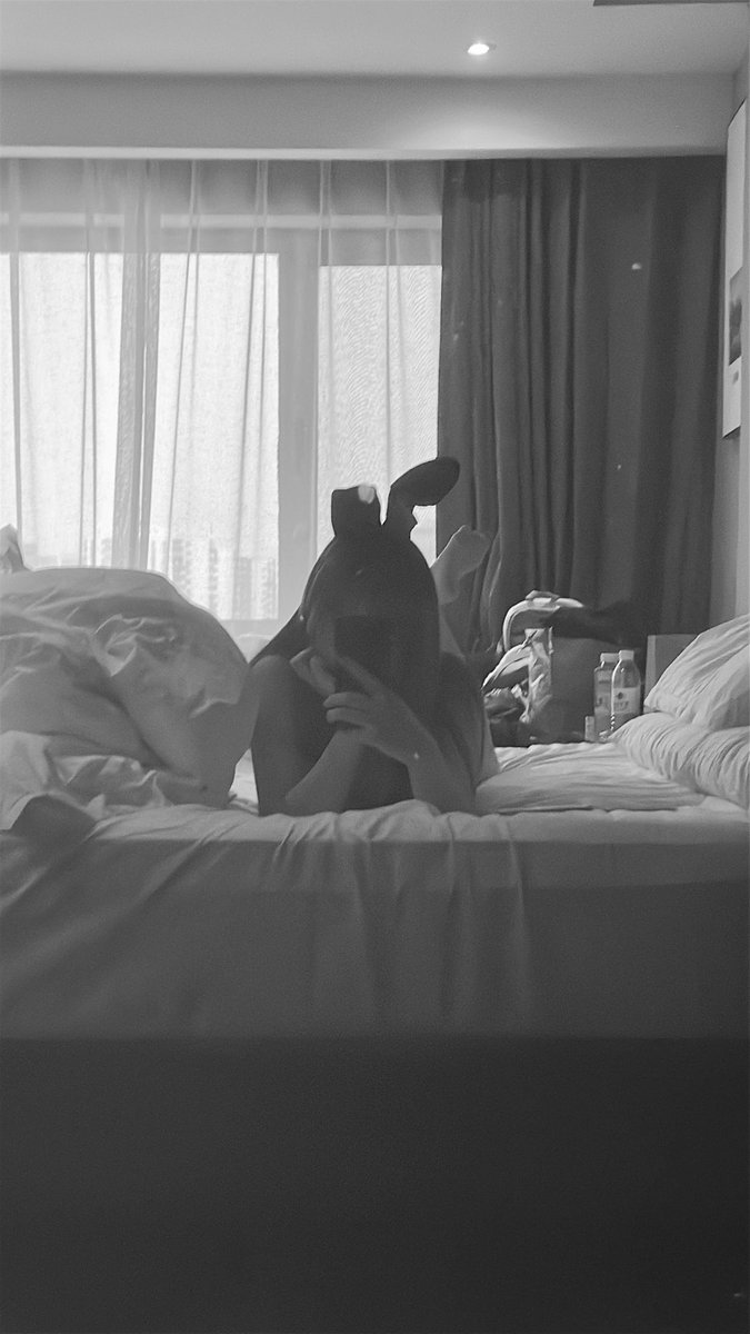 卡皮巴拉 cc tweet media