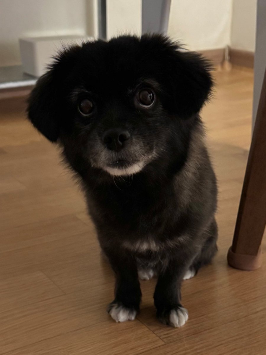 전혀 이해 못함
오늘도 다이소에 3천원 기부했다