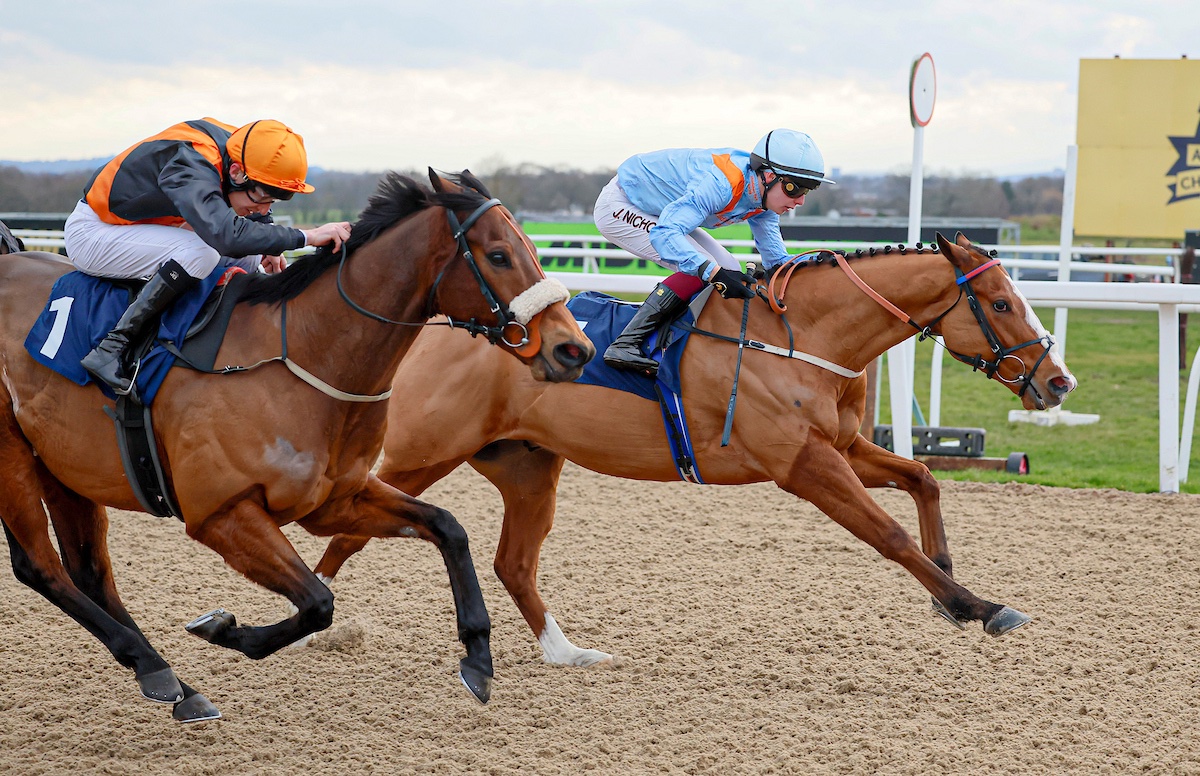 Middleham Park Racing tweet media