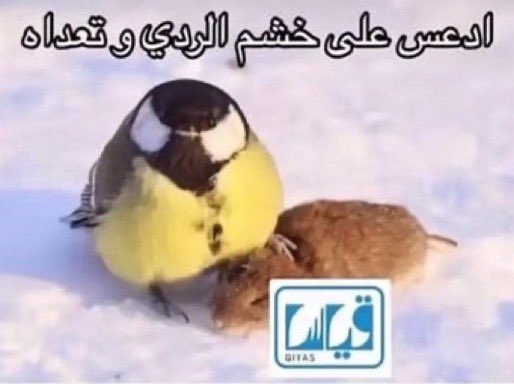 هرمنا هرمننننا
الحمد لله المولى النصير