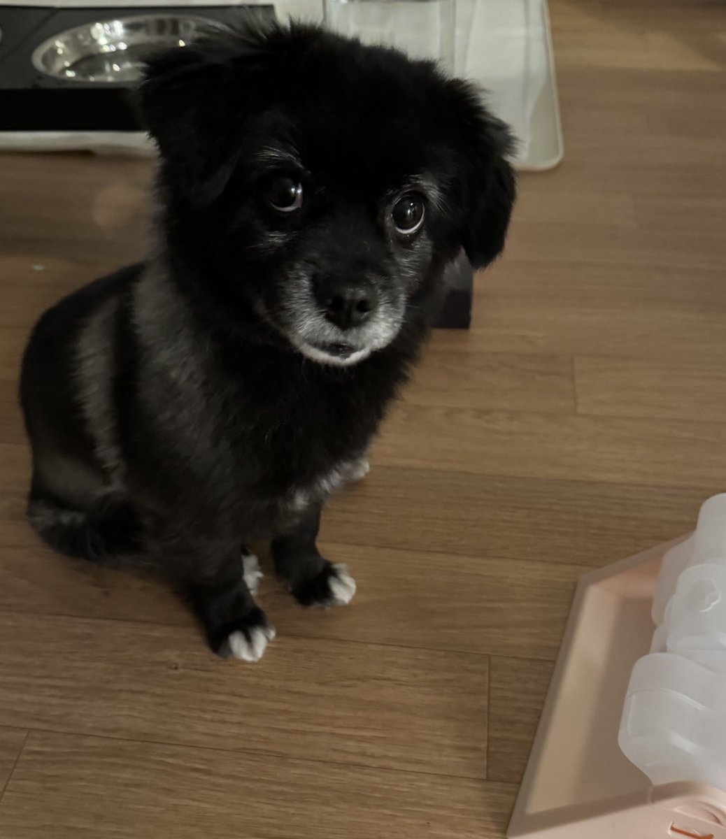 십분째 쳐다만 보는 중
언니가 미안하다