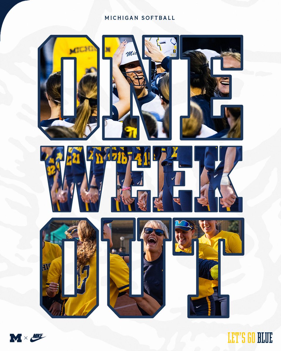 Michigan Softball tweet media