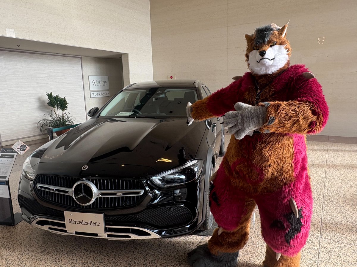 May I interest you in car?

#JMoF2026 
<a href="/FurticStudio/">🖋️Furtic Studio🐑🪽🫧⏩UTFG🇹🇼</a> #FursuitFriday