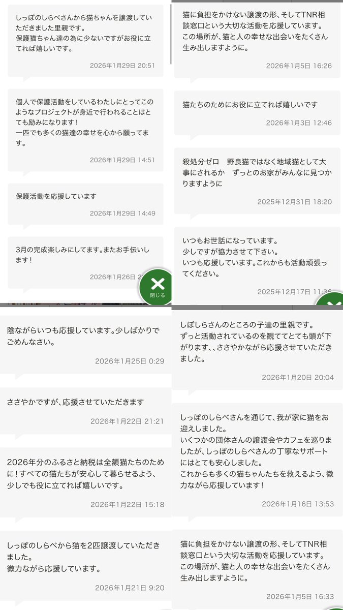 応援コメントもたくさんありがとうございます😊 励みになります！