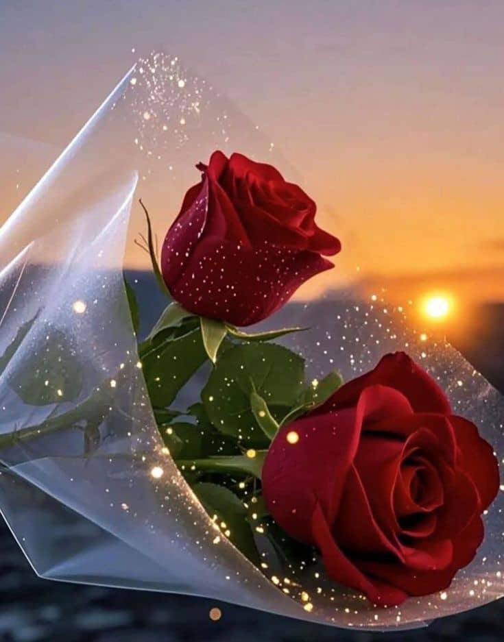 علي احمد Sed (@39_sed) on Twitter photo 