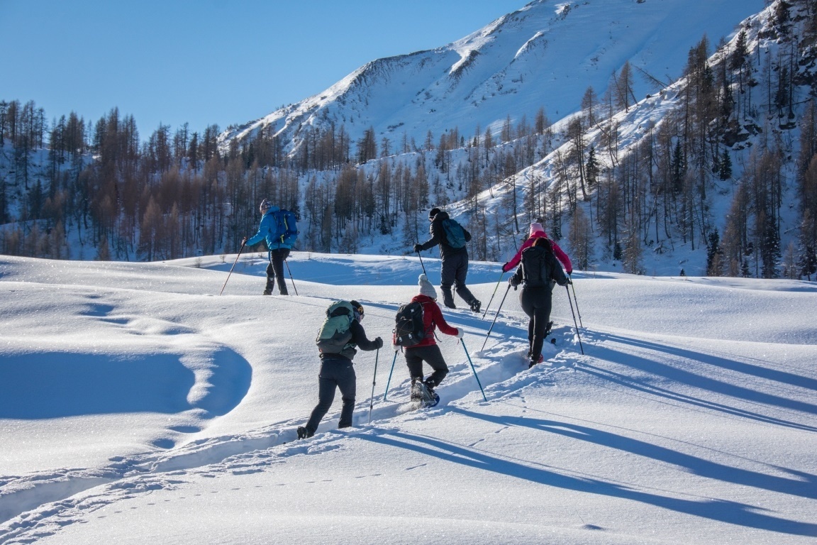 📌 Inverno slow in Carnia: nel comprensorio dello Zoncolan esperienze per grandi e piccoli tra ciaspolate sotto le stelle, land art, laboratori creativi per i bambini.
👉 studio-agora.it/inverno-slow-i…

#zoncolan #visitzoncolan #carnia #fvg #montagna