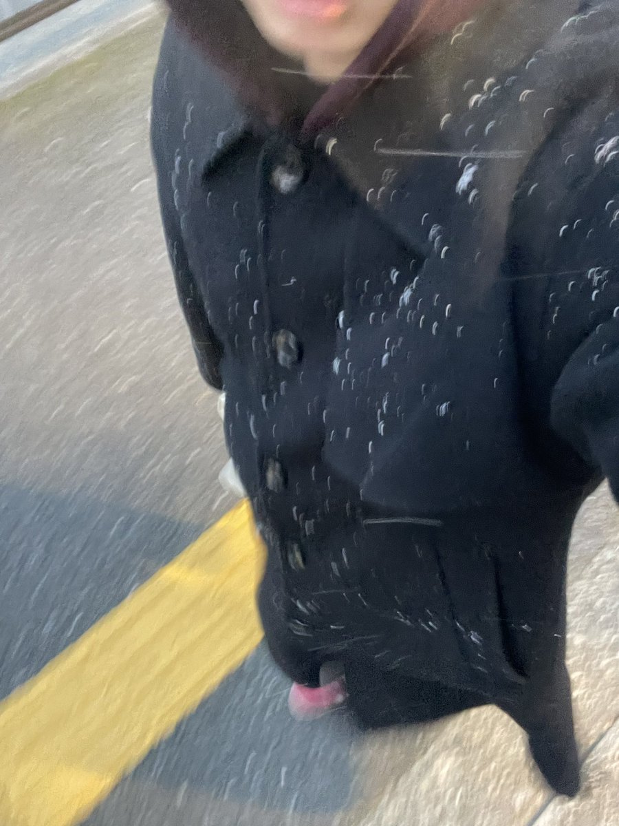 雪降ってたで
