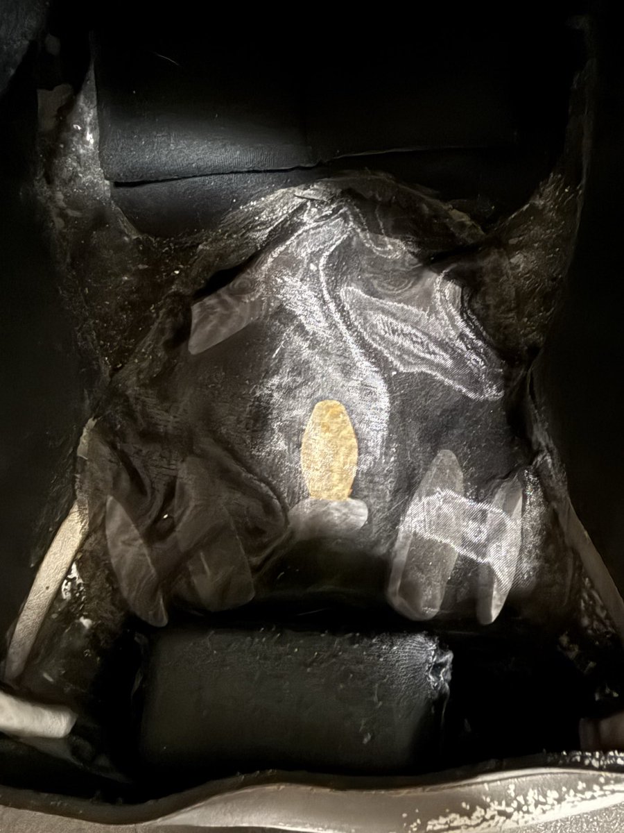 はね駒 tweet media