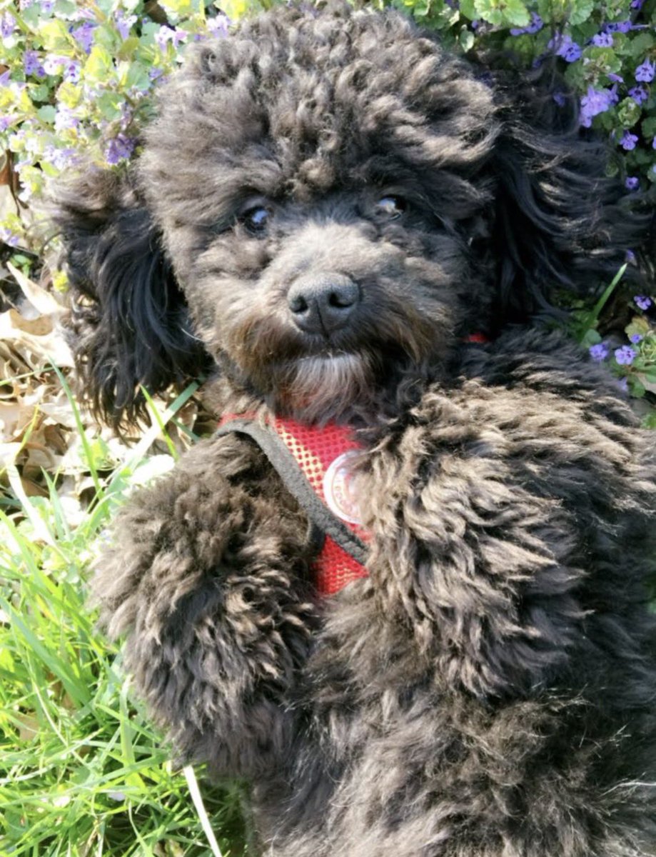 Jaleel Moore tweet media