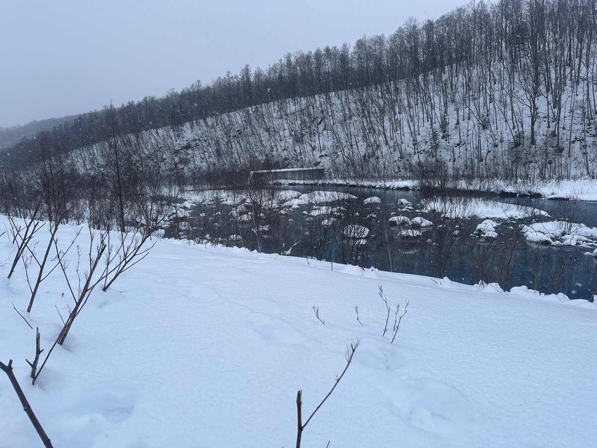 JacobTT9's tweet photo. Hokkaido https://t.co/oaK1SPIEZz
