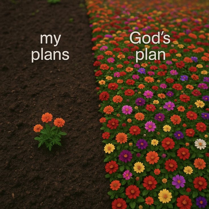 Scribbled Faith tweet media