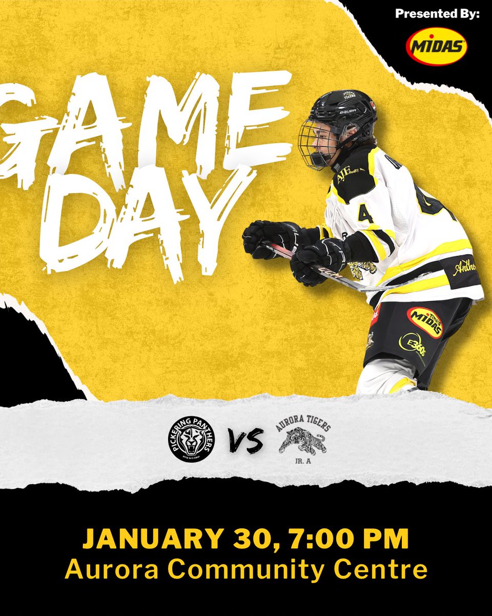 Serpa Automotive Aurora Tigers tweet media