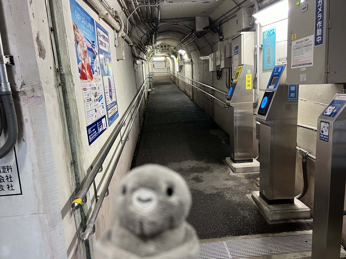 ☆ペンギン☆ (@penguin00000001) on X