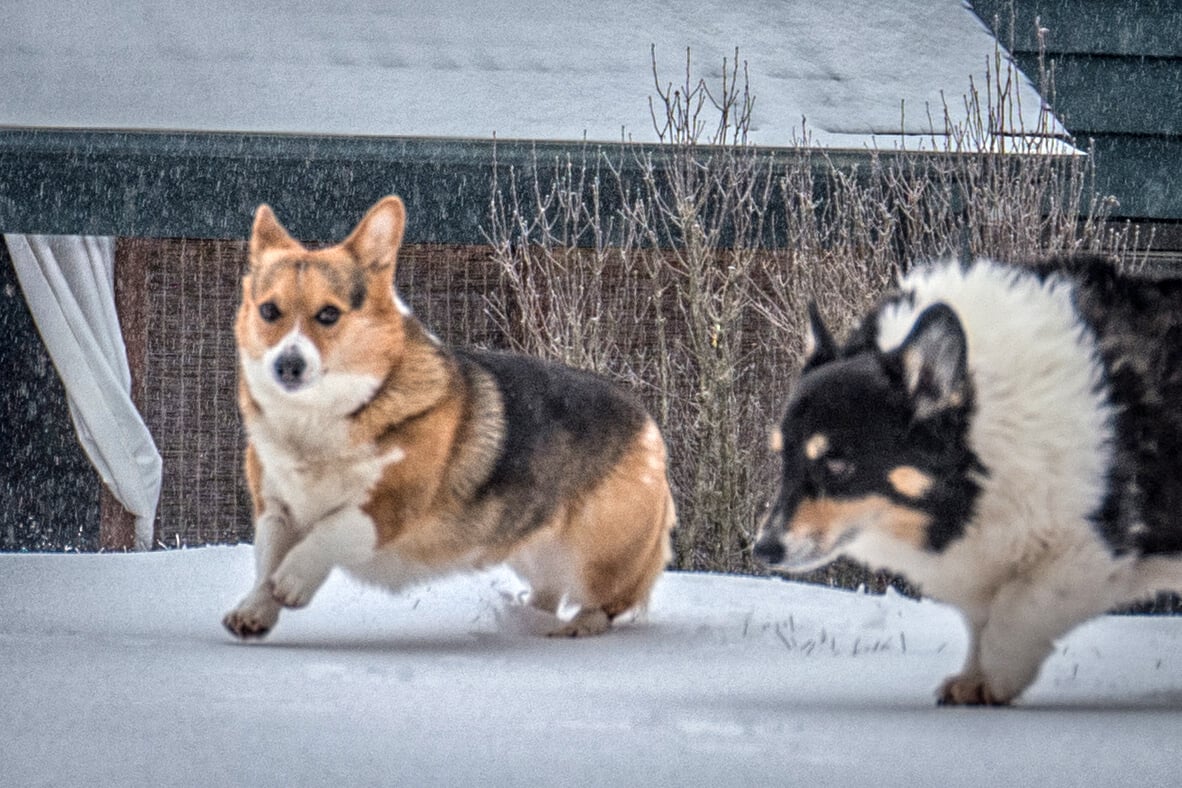 Matrix Group Int tweet media