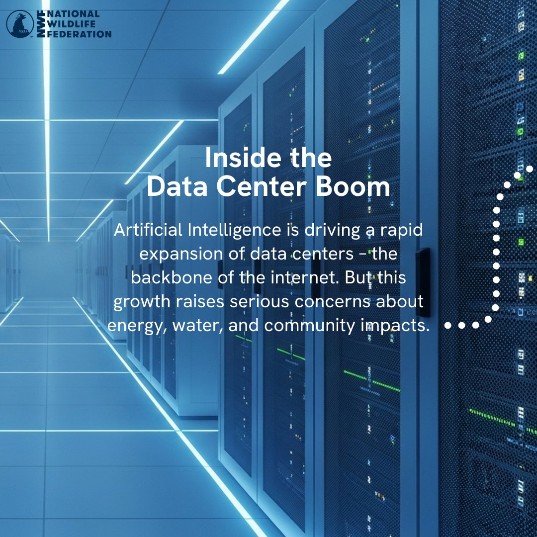 National Wildlife Federation tweet media